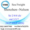 Fret maritime Port de Shenzhen expédition à Nelson